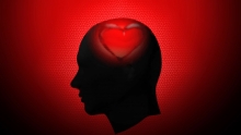 El amor está en el cerebro